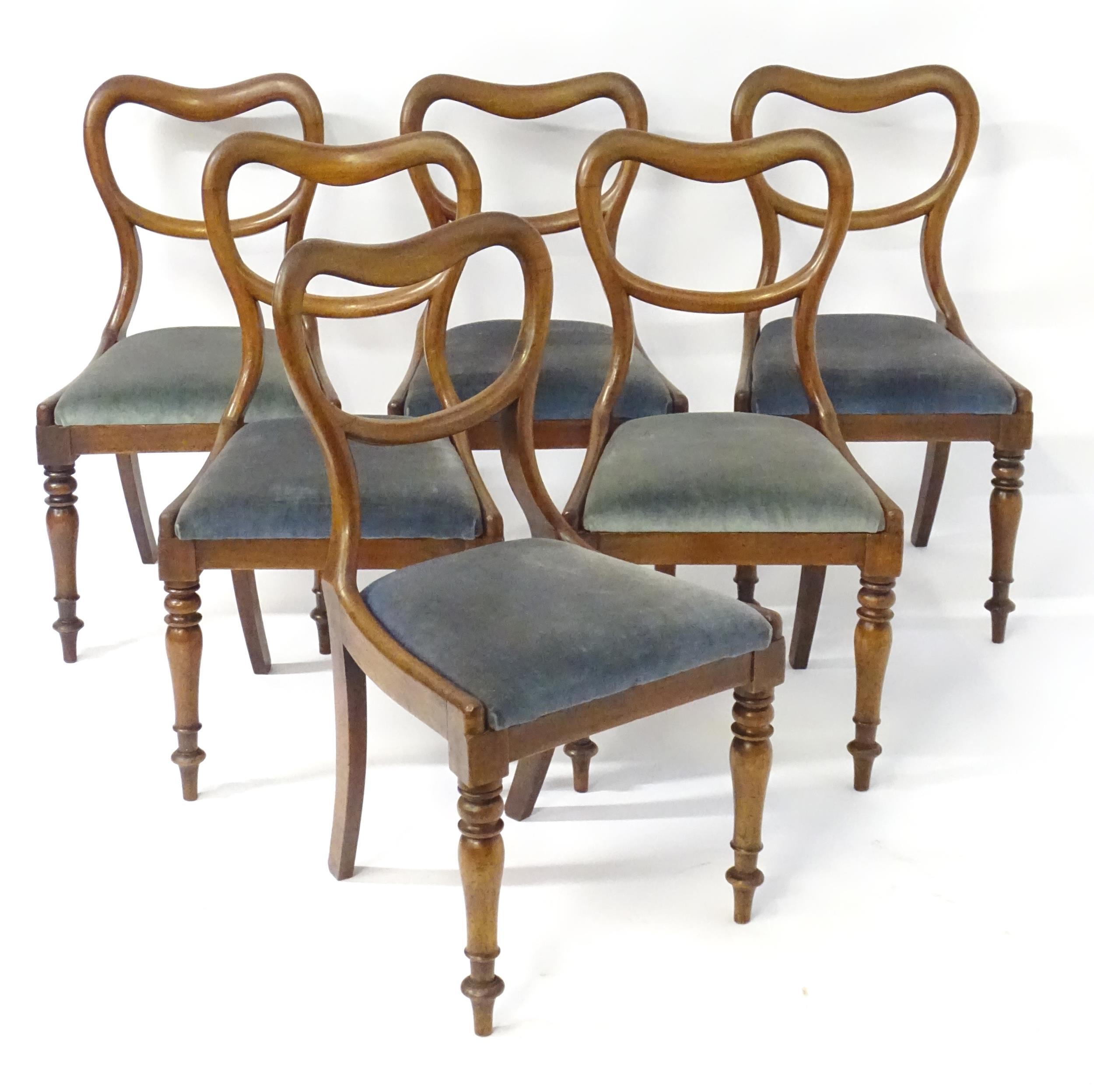 A set of six mahogany balloon back dining chairs with drop in seats above turned tapering front legs - Bild 4 aus 4