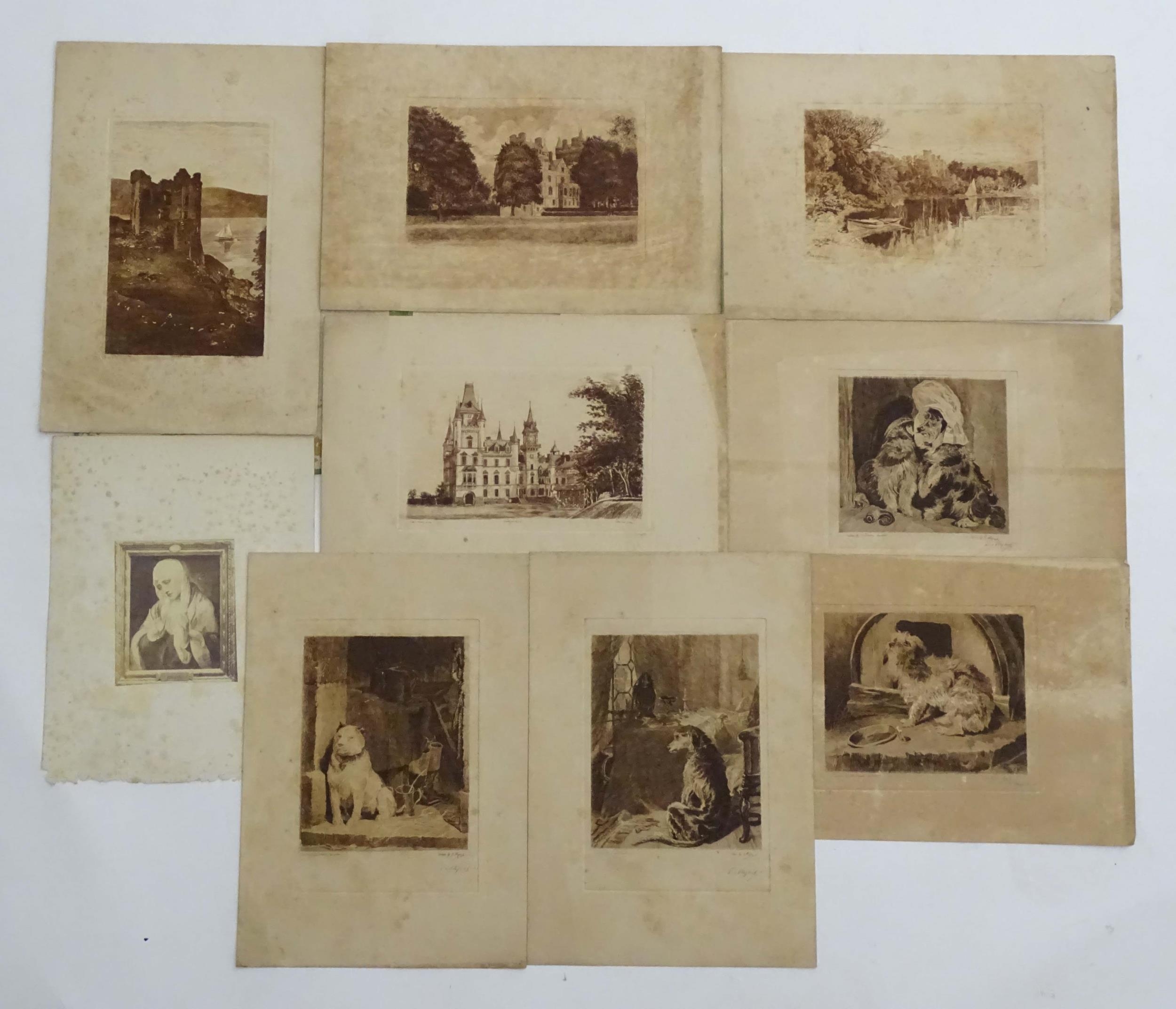 S. Myers after Sir Edwin Henry Landseer (1807-1873), 19th century, Four etchings depicting dogs to - Image 7 of 20