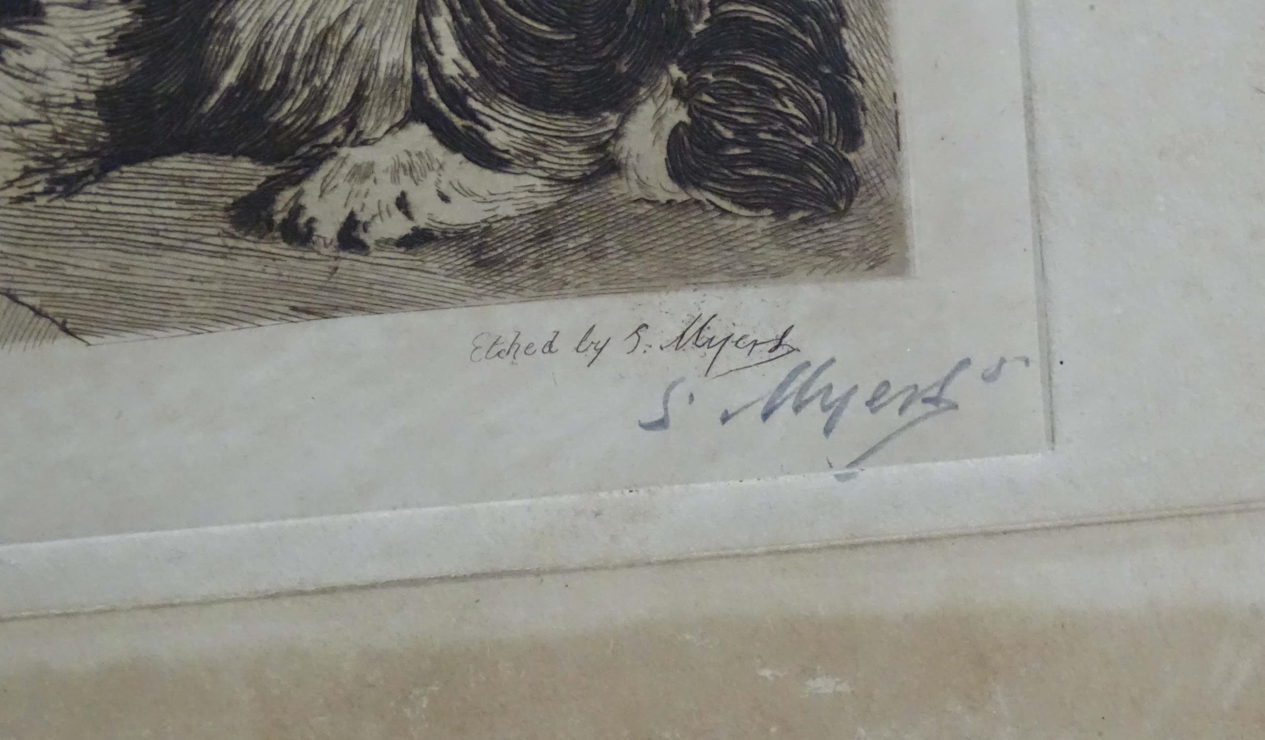 S. Myers after Sir Edwin Henry Landseer (1807-1873), 19th century, Four etchings depicting dogs to - Image 19 of 20