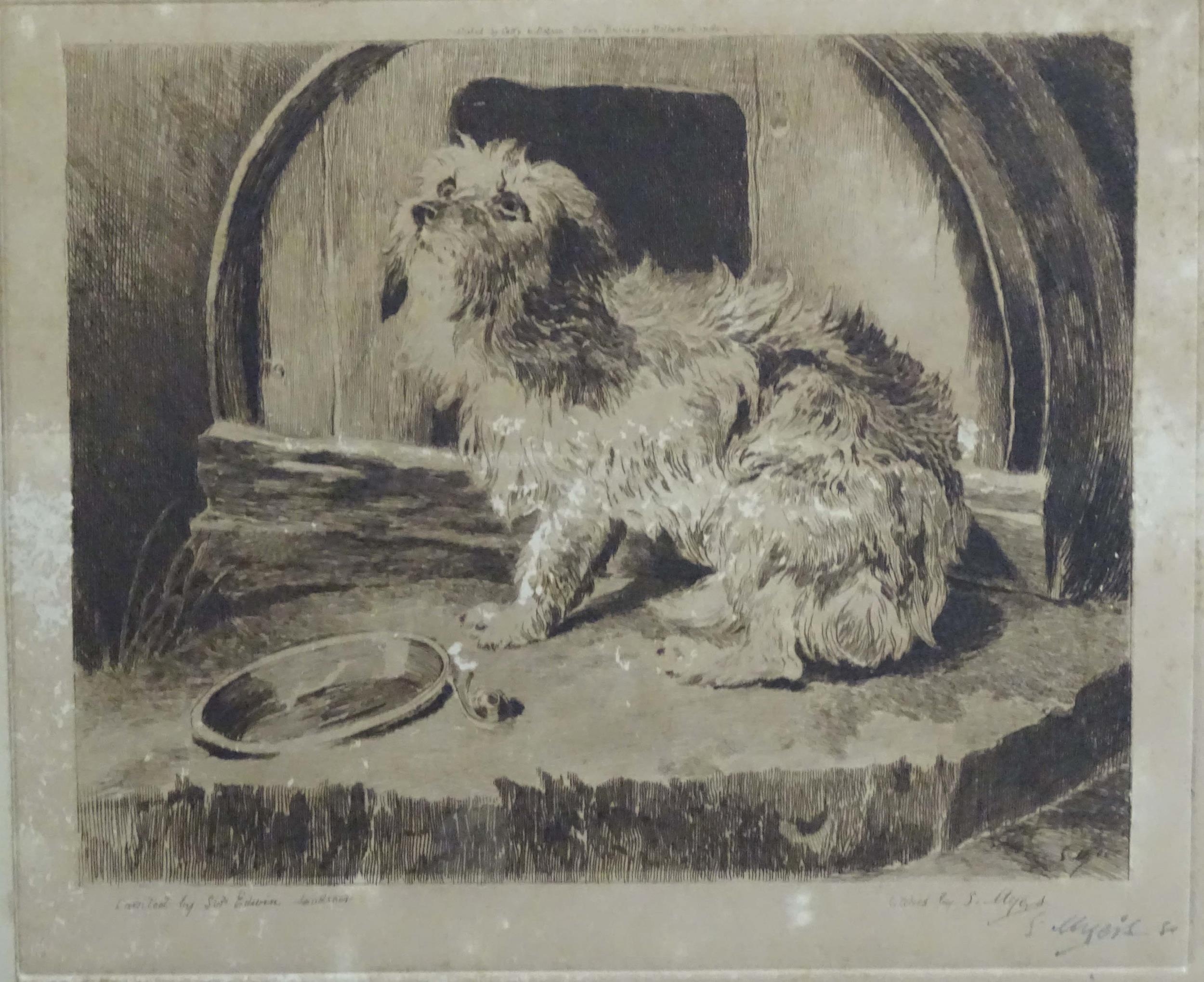 S. Myers after Sir Edwin Henry Landseer (1807-1873), 19th century, Four etchings depicting dogs to - Image 16 of 20