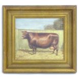 J. Box, 20th century, Oil on canvas laid on board, A portrait of a prize cow. Signed lower left.