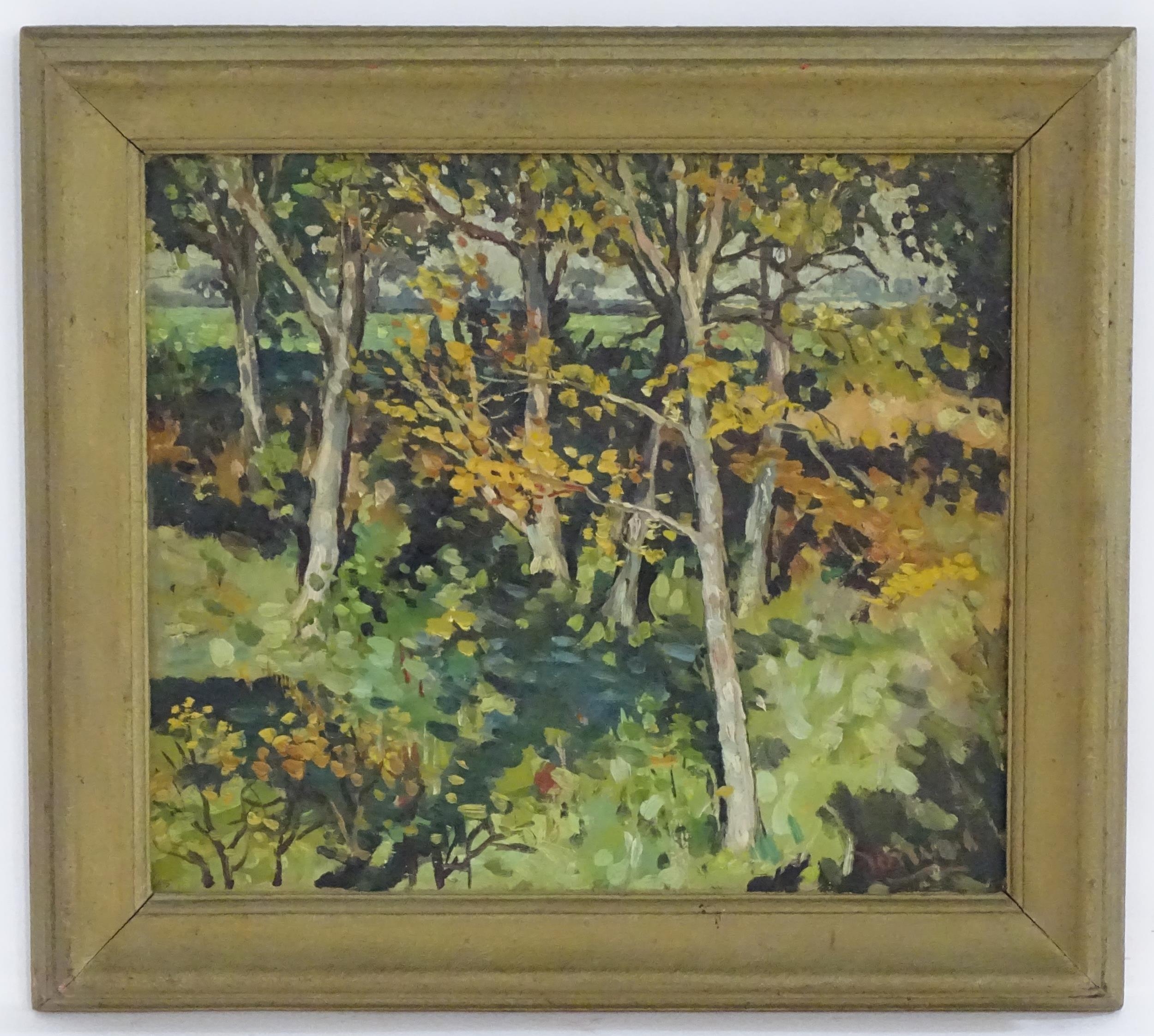 Forwall, 20th century, Oil on board, A study of trees and dappled light. Signed lower right. Approx.