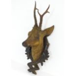 A 19thC continental Black Forest carved wooden Roe Buck head, approx. 24 1/2" high, 10" wide,