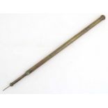 An early 20thC garden spike / weedkiller syringe, of brass construction and formed as a walking