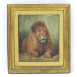 J. Roberts, Early 20th century, Oil on board, A study of a lion. Signed lower left. Approx. 11 1/
