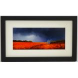 Barry Hilton (b. 1941), Acrylic on board, A stormy landscape with a poppy field and atmospheric