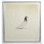 Bryan Organ (b. 1935), Limited edition lithograph / artist's proof, no. 5 / 14, Pigeon, Signed,
