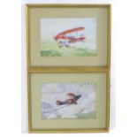 T. J. J. Tolkien, 20th century, Watercolours, The Jubilee Duo, G-BCXD & B-BECM, A pair of