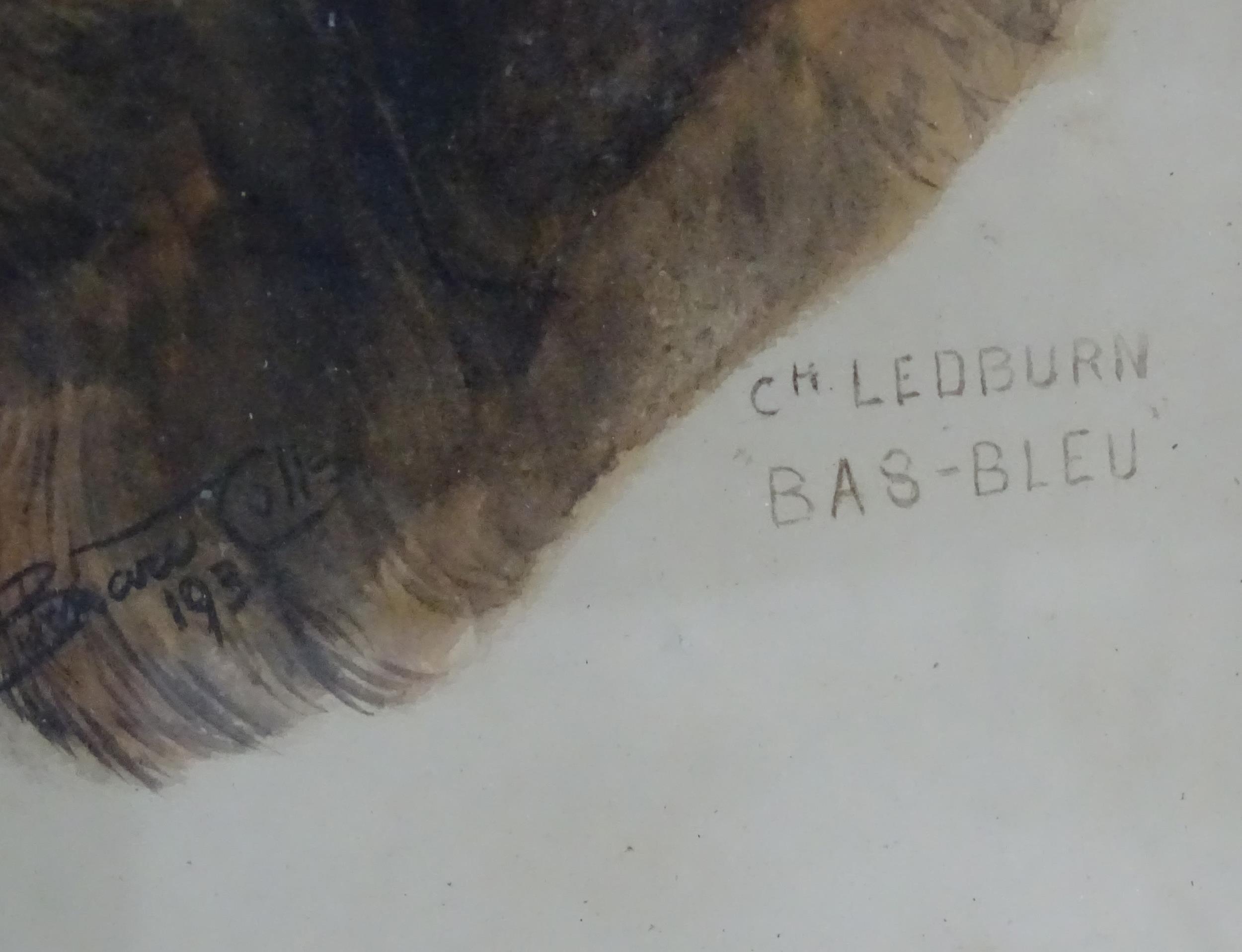 Bernard Colls, 20th century, Watercolour, Ch. Ledburn Bas-Bleu, A portrait of a Bloodhound dog. - Image 6 of 6