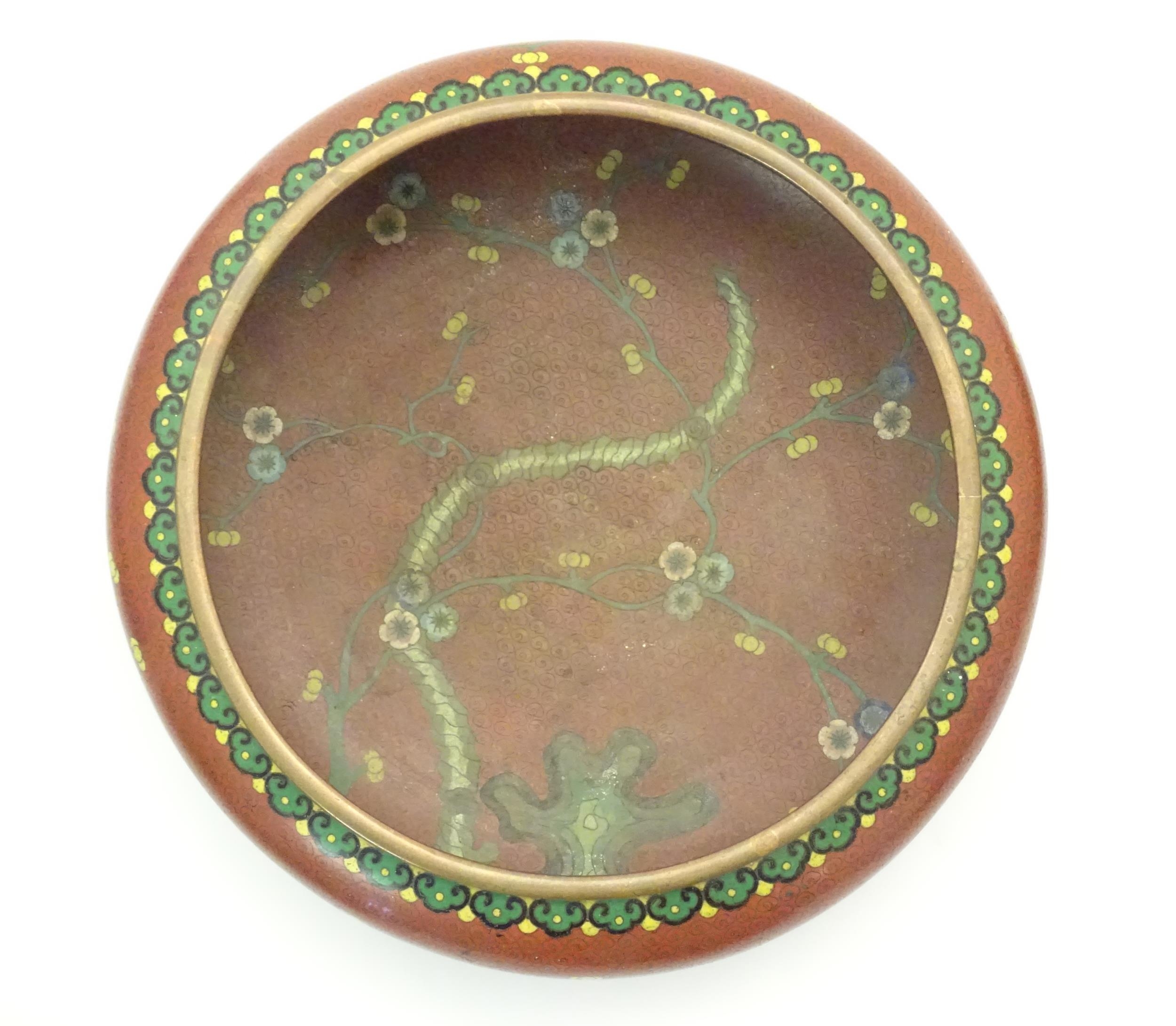 A Chinese cloisonne shallow bowl with floral and foliate detail. Approx. 3 1/4" x 10" diameter - Image 2 of 6