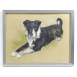 Ursula White, 20th century, Pastel, A portrait of a black and white terrier dog. Signed and dated (