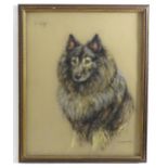 Kathleen Frances Barker (1901-1969), Pastel, A portrait of a German Shepherd / Collie dog, titled