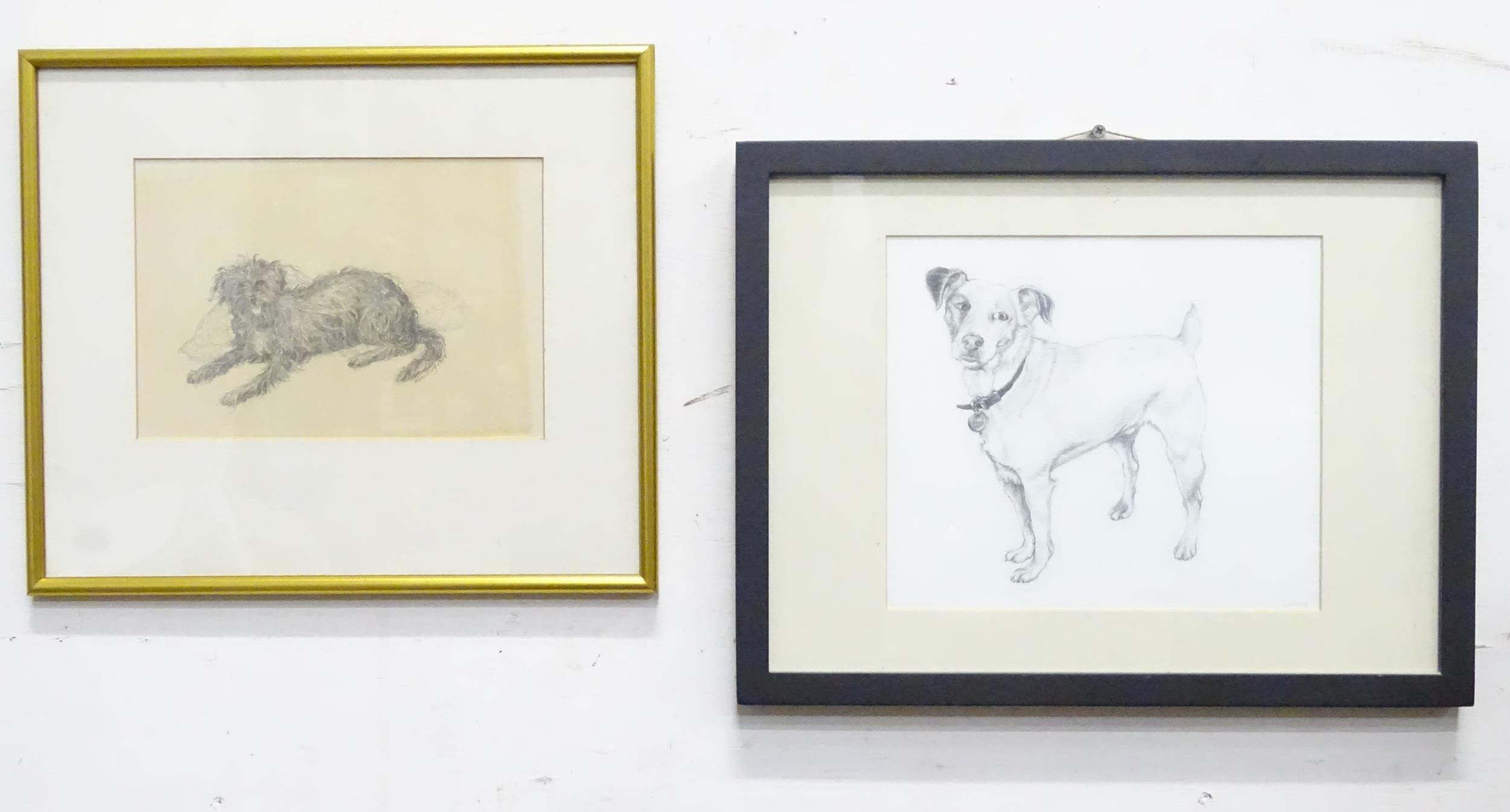 Two pencil drawings of dogs, one depicting a jack russell terrier, signed Luci, the other a