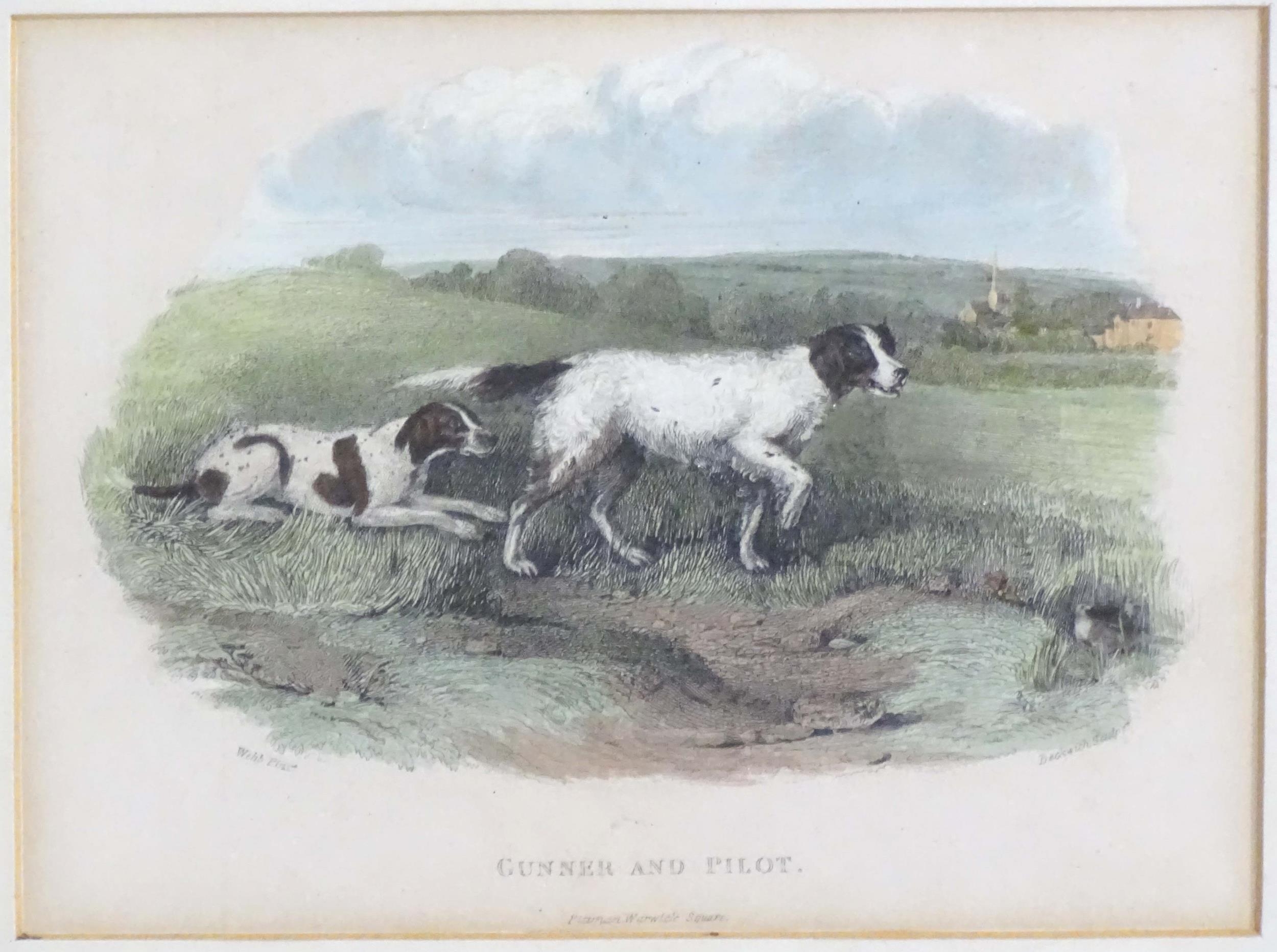 H. Beckwith, 19th century, Hand coloured engravings, Gunner and Pilot, and Setter & Pointer in the - Bild 5 aus 13