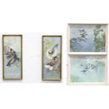 Four prints by Vernon Ward depicting ducks. Each with facsimile signature. Largest approx. 17 1/2" x