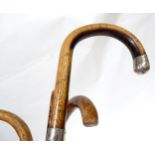 Four early 20thC walking sticks / canes, comprising two peacockwood examples (one having white metal