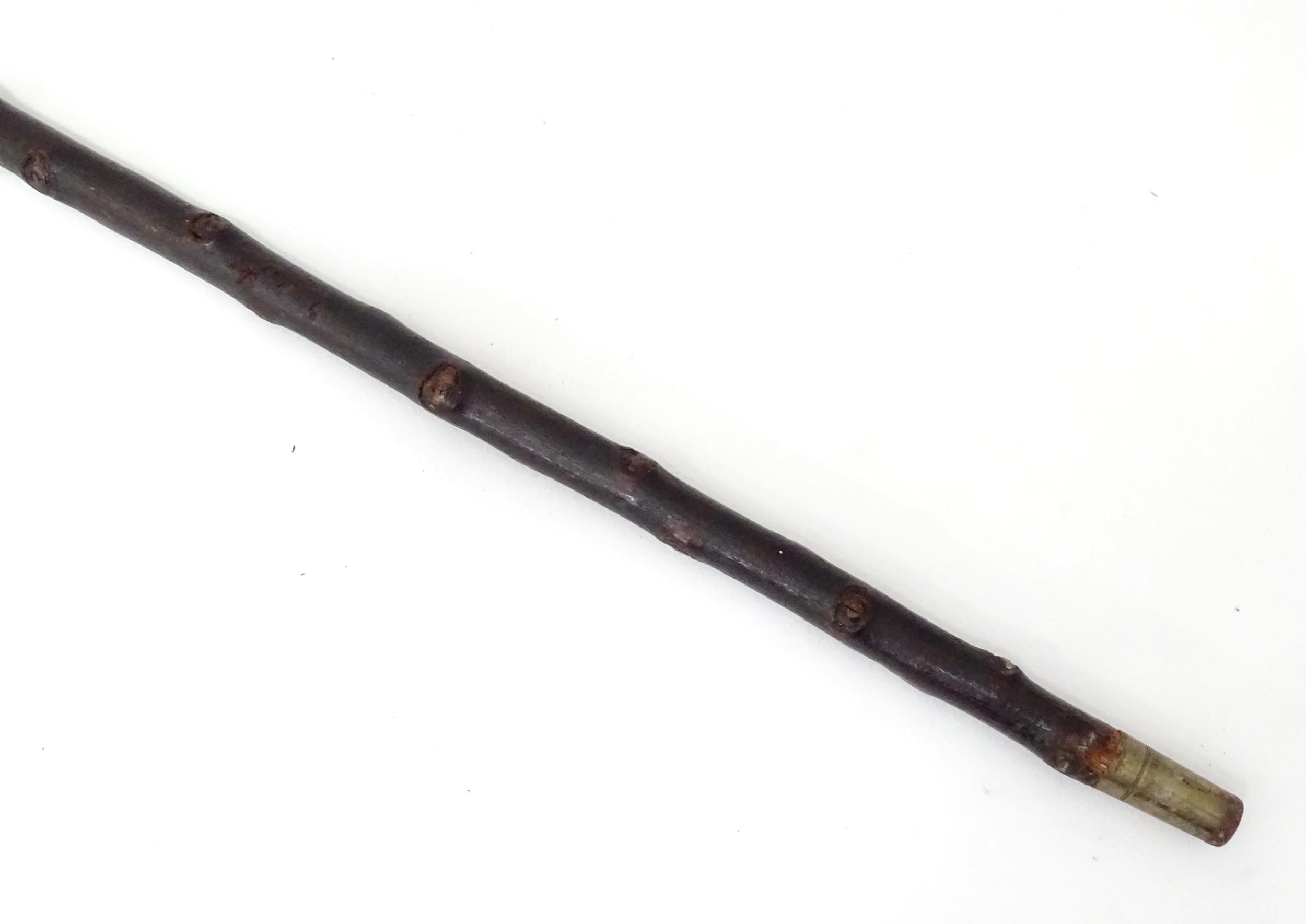 Walking stick / cane : A wooden stick with silver top hallmarked London 1900. 34 1/2" long Please - Image 4 of 5