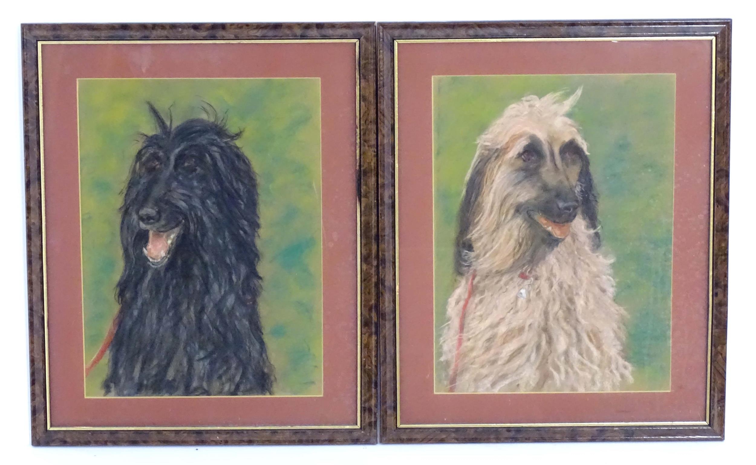 20th century, Pastel on paper, A pair of dog portraits depicting Afghan Hounds. Approx. 16 1/4" x