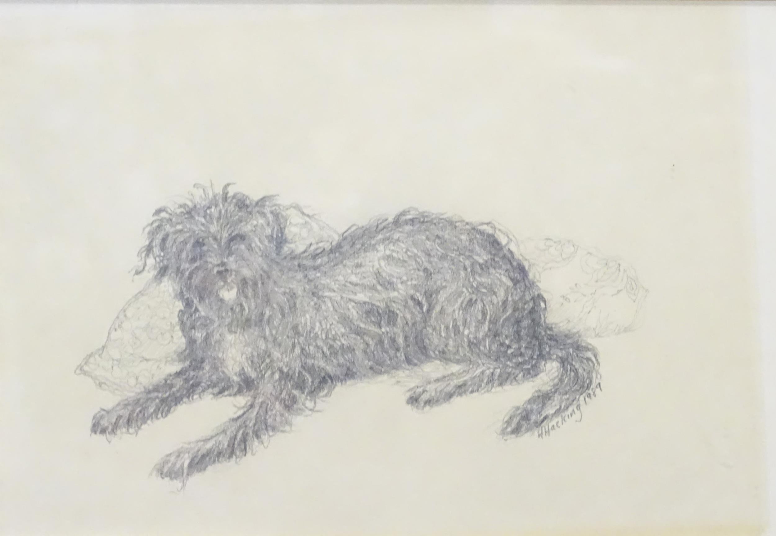Two pencil drawings of dogs, one depicting a jack russell terrier, signed Luci, the other a - Image 3 of 6