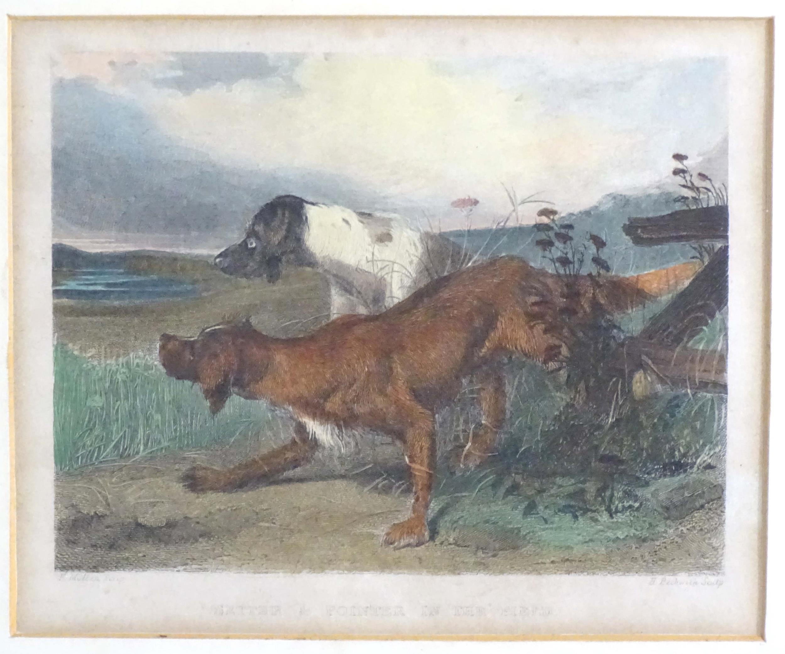 H. Beckwith, 19th century, Hand coloured engravings, Gunner and Pilot, and Setter & Pointer in the - Bild 7 aus 13