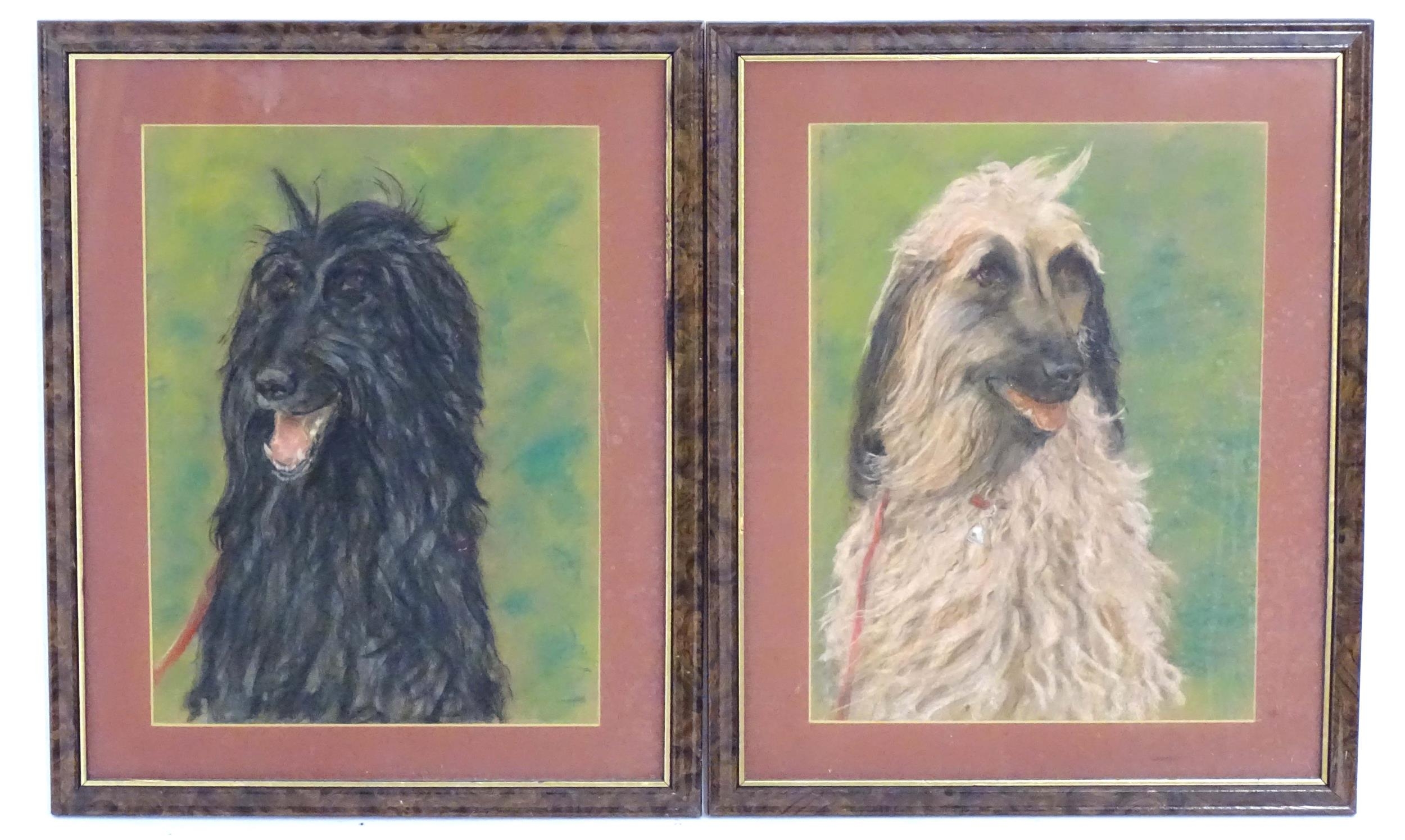 20th century, Pastel on paper, A pair of dog portraits depicting Afghan Hounds. Approx. 16 1/4" x - Image 3 of 5