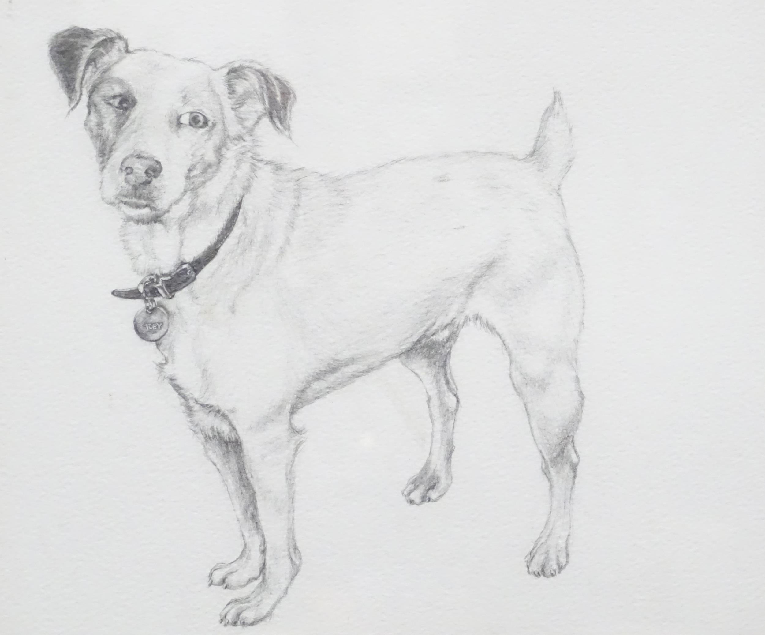 Two pencil drawings of dogs, one depicting a jack russell terrier, signed Luci, the other a - Image 4 of 6