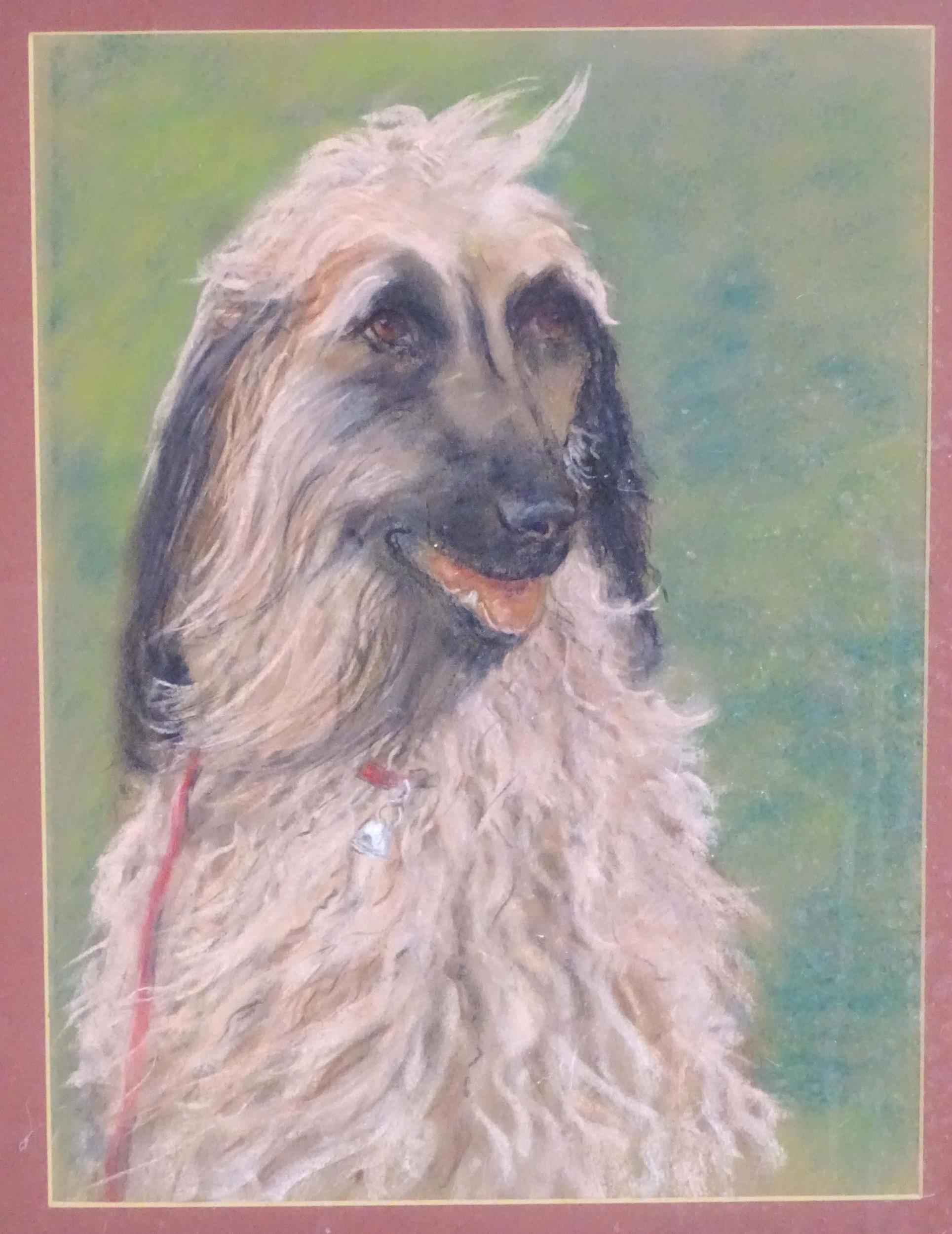 20th century, Pastel on paper, A pair of dog portraits depicting Afghan Hounds. Approx. 16 1/4" x - Image 5 of 5