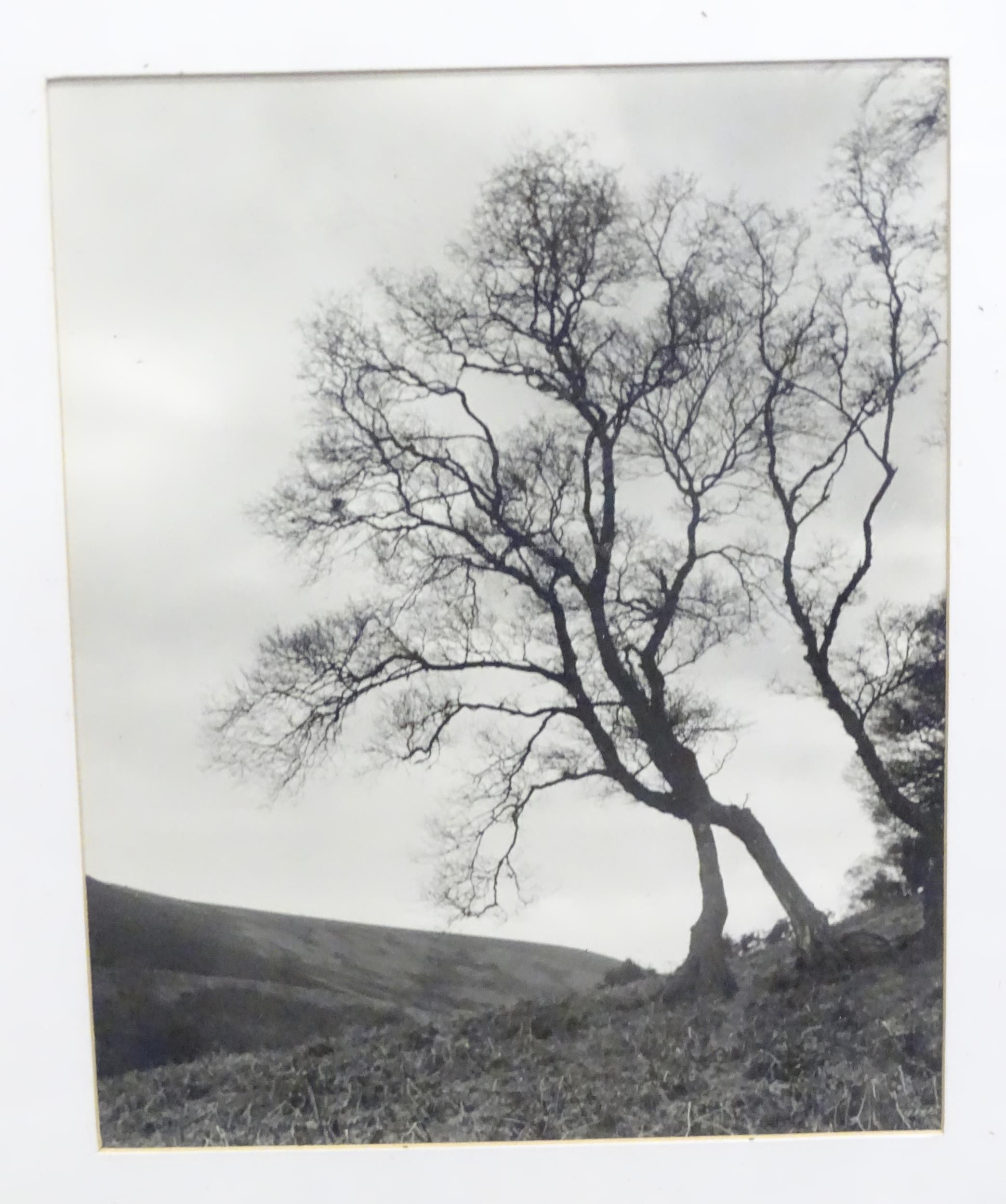 Three monochrome landscape photographs to include a coastal bay with rough sea, trees, etc. Together - Image 8 of 9