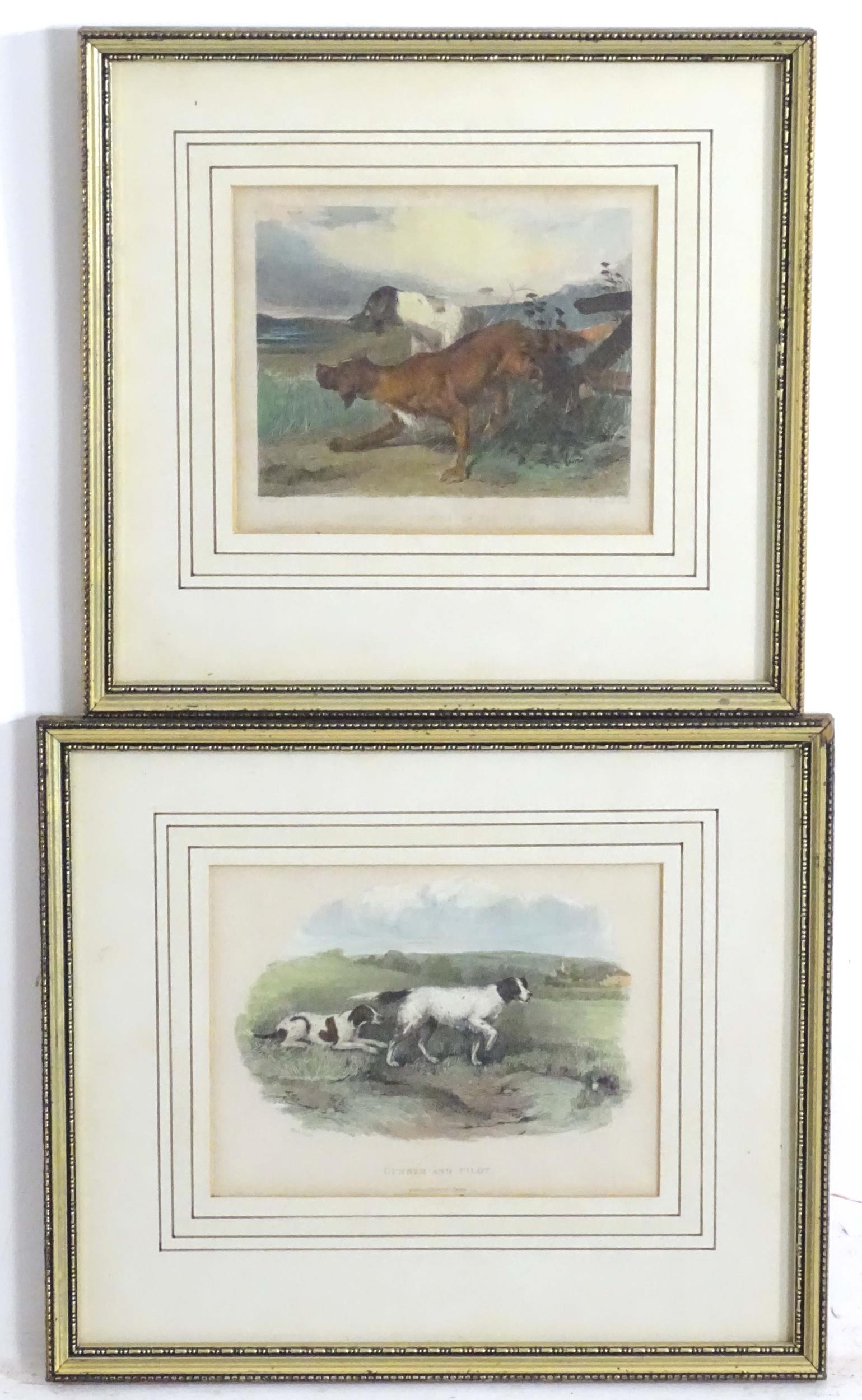 H. Beckwith, 19th century, Hand coloured engravings, Gunner and Pilot, and Setter & Pointer in the