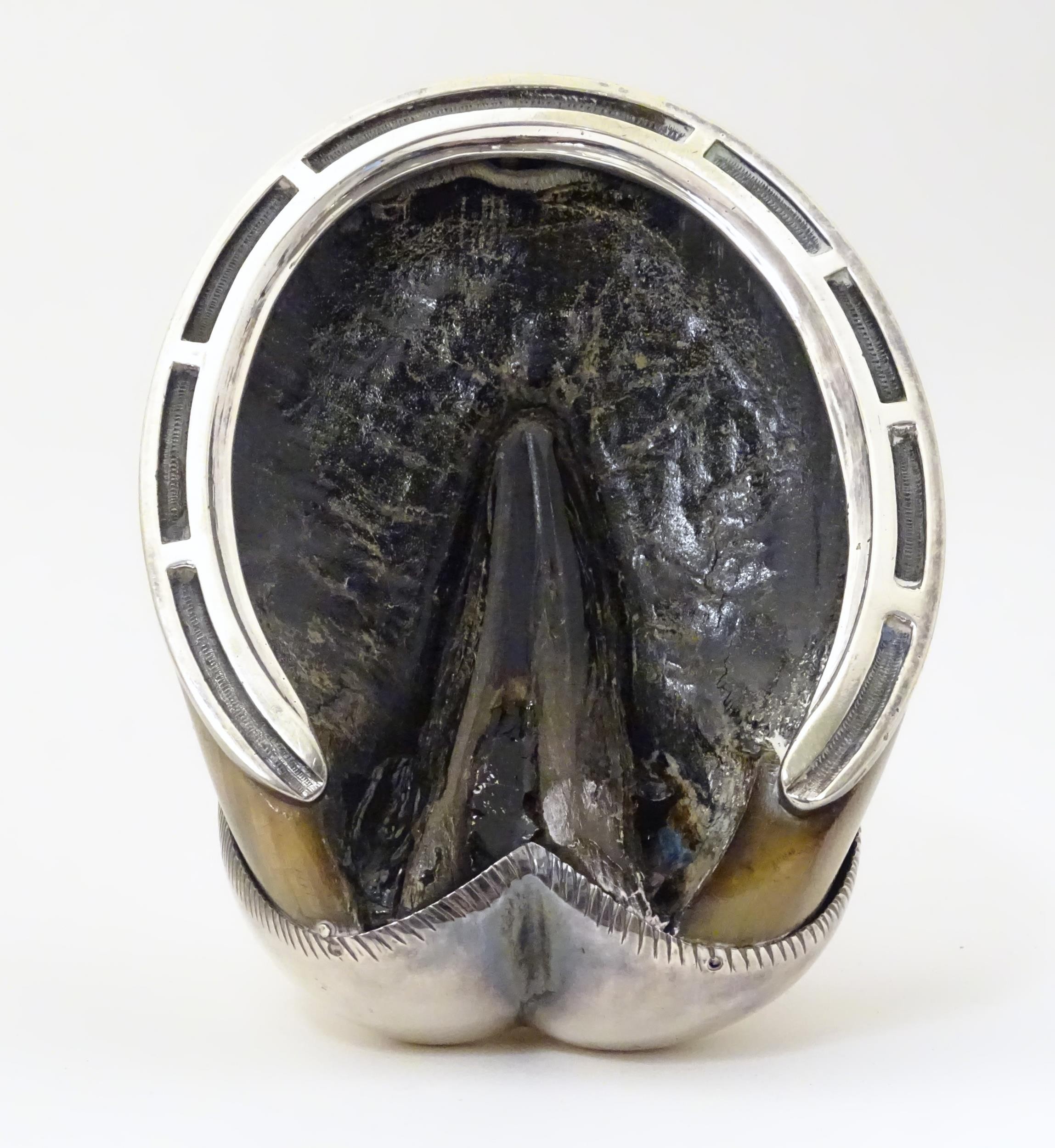 Taxidermy: A late 19thC / early 20thC inkwell formed from a horse hoof with silver plate mounts. - Bild 2 aus 8