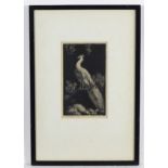 Lionel Arthur Lindsay (1874-1961), Australian School, Woodcut, White Peacock / Morning Glory. Signed