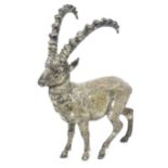 A 19thC silver model of an ibex, hallmarked Chester 1899, importer B. Muller & Son (Berthold