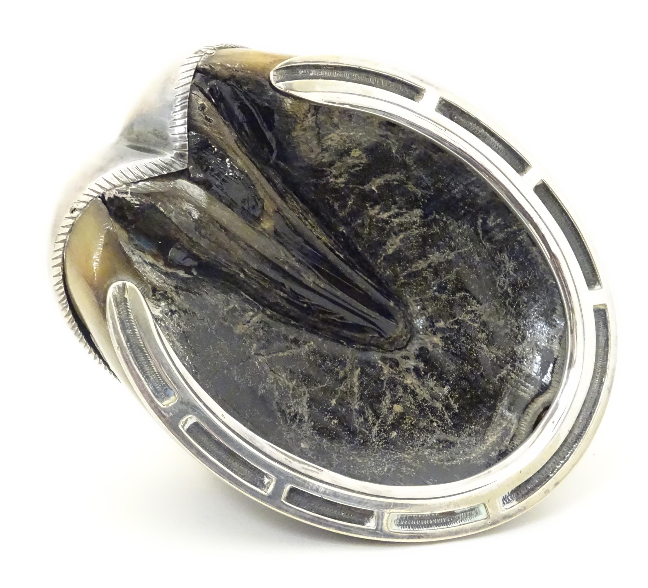 Taxidermy: A late 19thC / early 20thC inkwell formed from a horse hoof with silver plate mounts. - Bild 7 aus 8