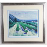 After John Kingsley (b. 1956), Limited edition print, Vineyard at Beaumes-de-Venise. Signed,