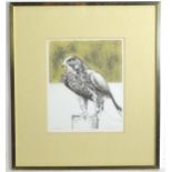 Bryan Organ (b. 1935), Limited edition lithograph / artist's proof, Hawk. Signed in pencil under and