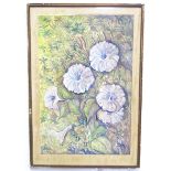 A watercolour depicting bindweed flowers and foliage. Signed with initials lower right MH. Approx.