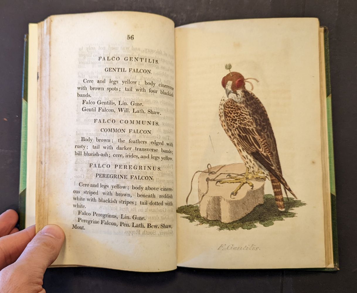 Hunt (John). British Ornithology, 3 volumes in 2, Norwich: Bacon & Co, 1815 - Image 6 of 11