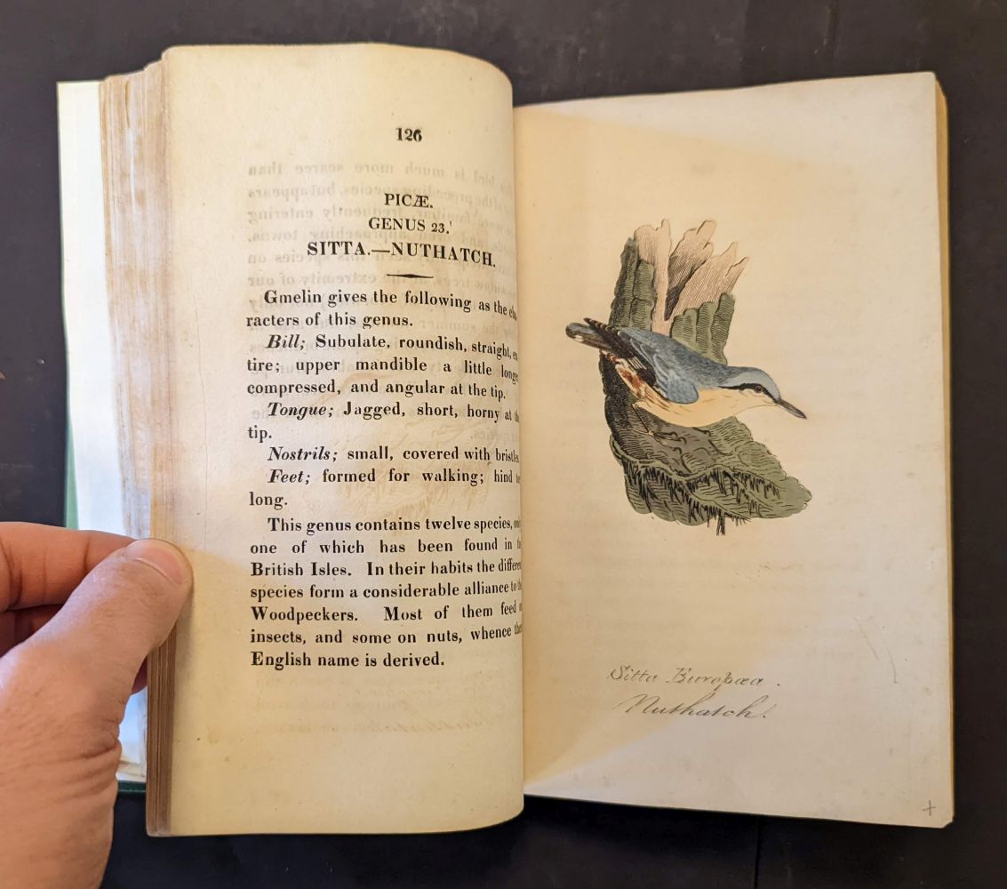 Hunt (John). British Ornithology, 3 volumes in 2, Norwich: Bacon & Co, 1815 - Image 9 of 11