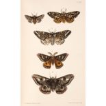 Morris (F.O.) A Natural History of British Moths, 4 volumes, 1872
