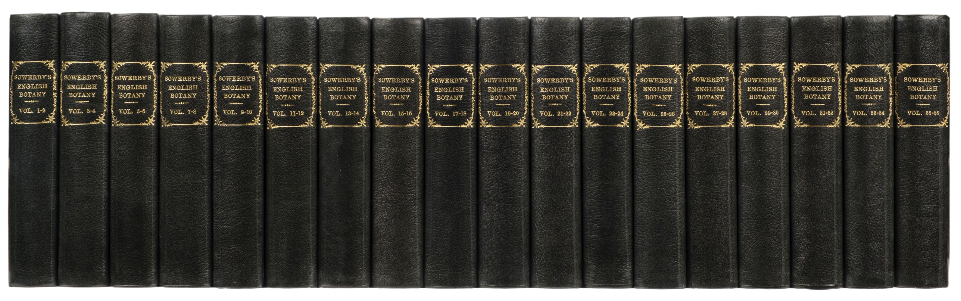 Sowerby (James & Smith, James Edward). English Botany, 36 vols. in 18, London, 1790-1814 - Image 2 of 2