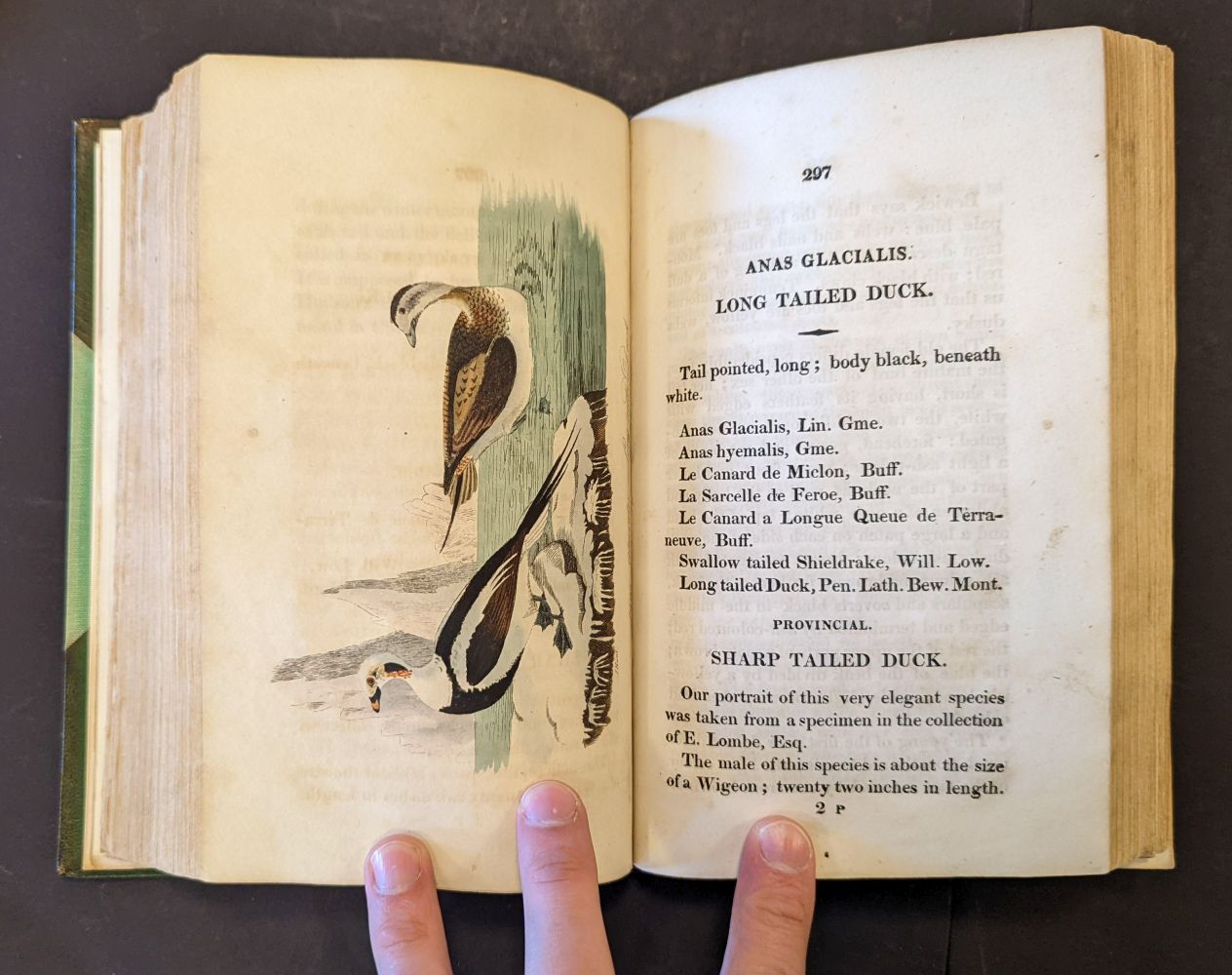 Hunt (John). British Ornithology, 3 volumes in 2, Norwich: Bacon & Co, 1815 - Image 10 of 11