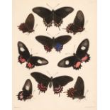 Catalogue of Lepidopterous Insects in the Collection of the British Museum, 1852