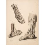 * Maclise (Joseph). Fifty medical and surgical lithographs, circa 1856