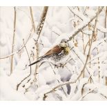 * Boyer (Trevor, 1948-). Fieldfare perched on a snow laden tree in a wood, watercolour