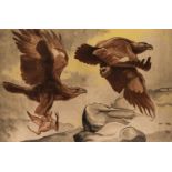 * Talbot Kelly (Richard Barrett, 1896-1971). Golden eagles