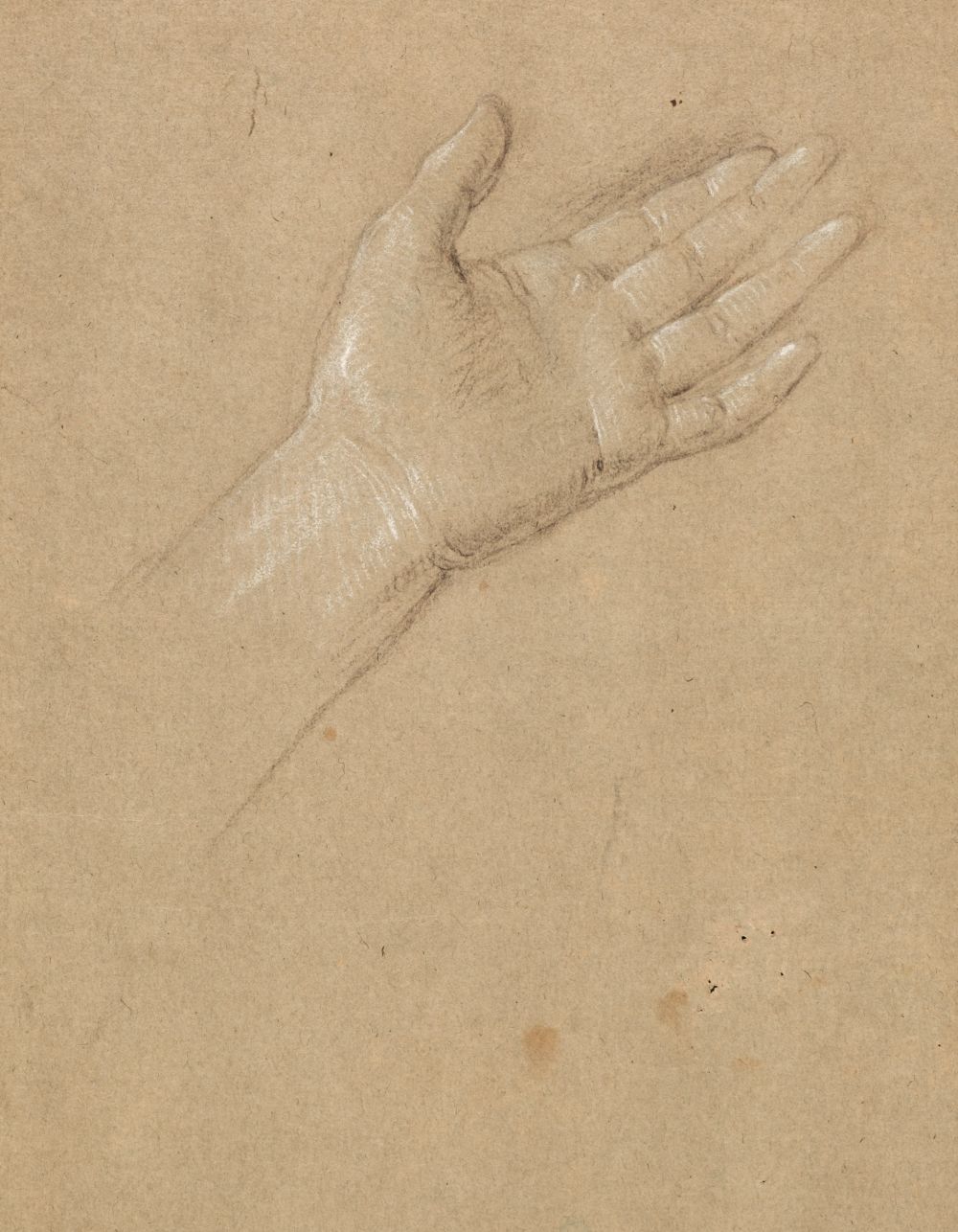 * Circle of Guido Reni (1575-1642). Head of a Youth, and Study of a female hand, - Image 2 of 3