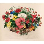 Munson (Laura Gordon). Flowers From My Garden, 1st edition, New York: Anson D.F. Randolph, 1864