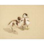 * Austen (Winifred Marie Louise, 1876-1964). Ducklings watercolour