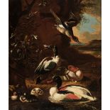 * Cradock (Marmaduke, circa 1660-1717, attributed to). Shelducks in a Landscape, oil on canvas