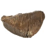 * Woolley Mammoth. A Woolley Mammoth tooth from Siberia